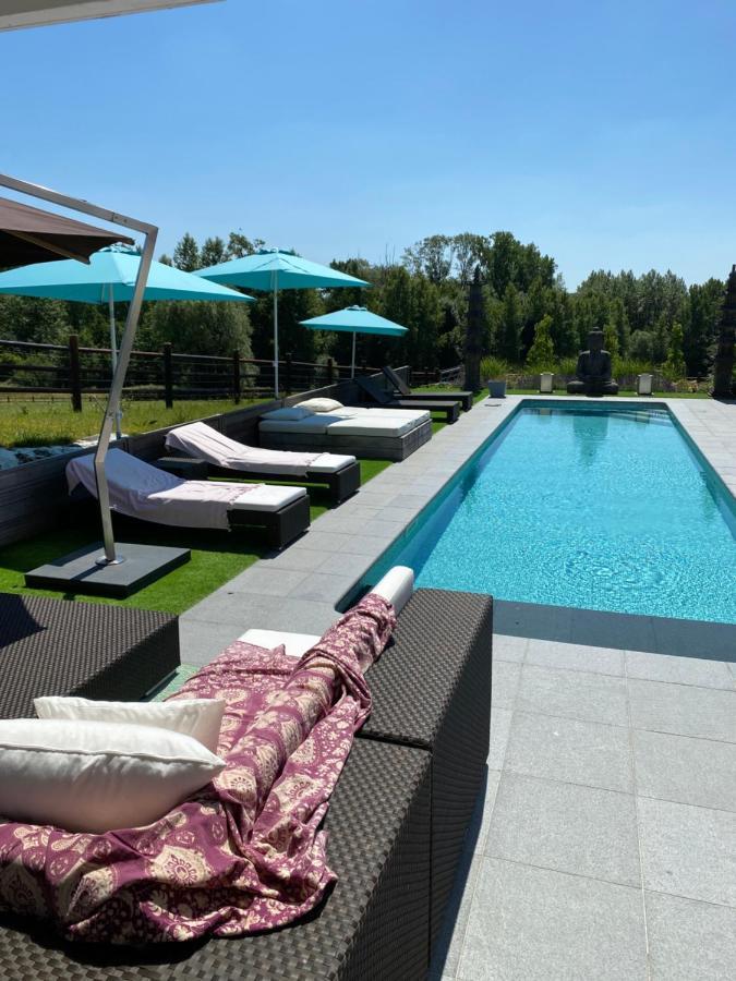 B&B La Douceur De La Miclette Ellezelles Kültér fotó