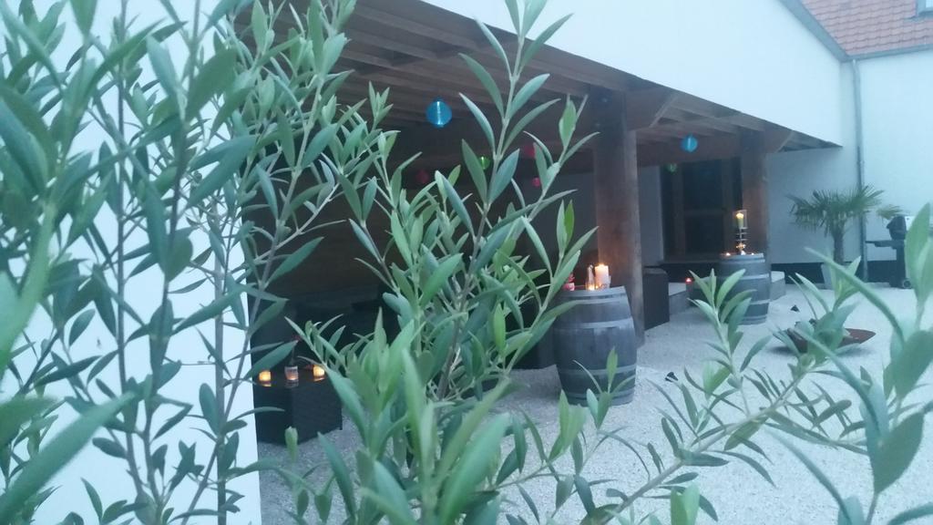 B&B La Douceur De La Miclette Ellezelles Kültér fotó