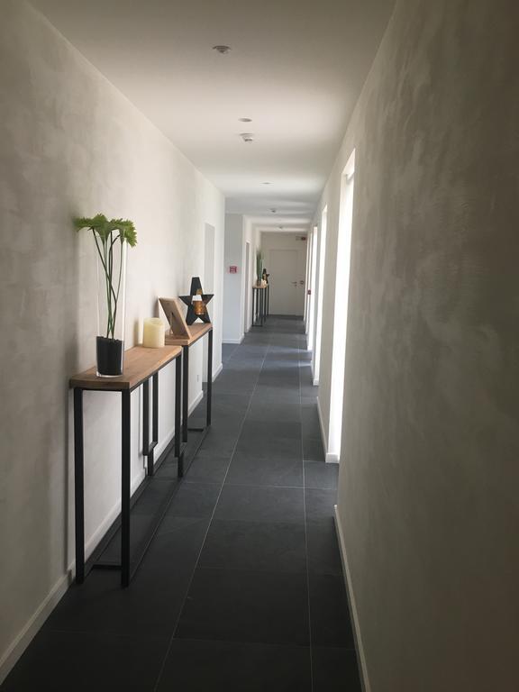 B&B La Douceur De La Miclette Ellezelles Kültér fotó