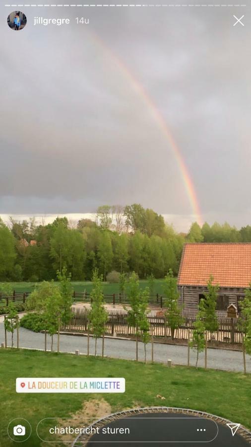 B&B La Douceur De La Miclette Ellezelles Kültér fotó